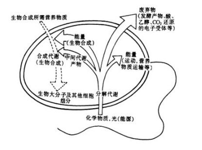 微信截圖_20220121102121