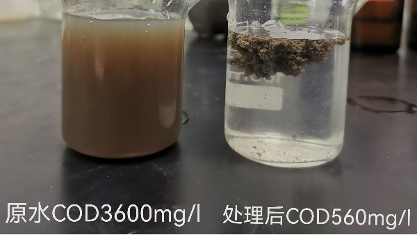 什么是污泥沉降比(SV)？