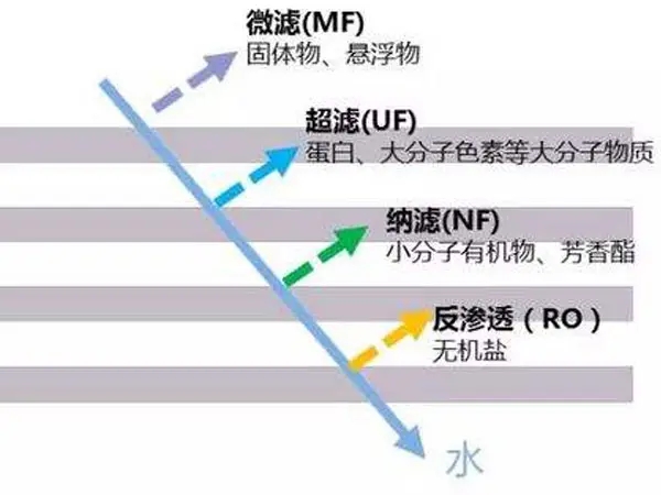 膜分離類型.webp